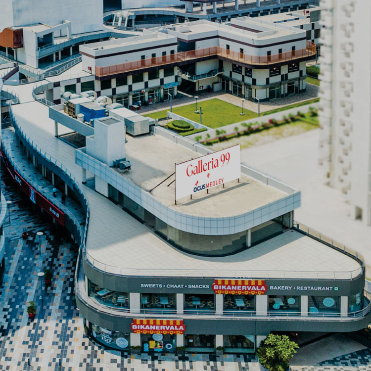 Investment Potential